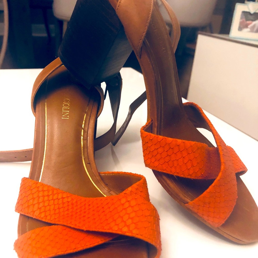 Enzo Angiolini Shoes